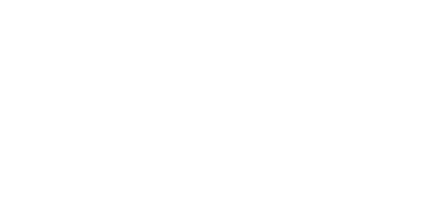 WizarPOS Q1, mobile WizarPOS Q1, smart Android POS Q1